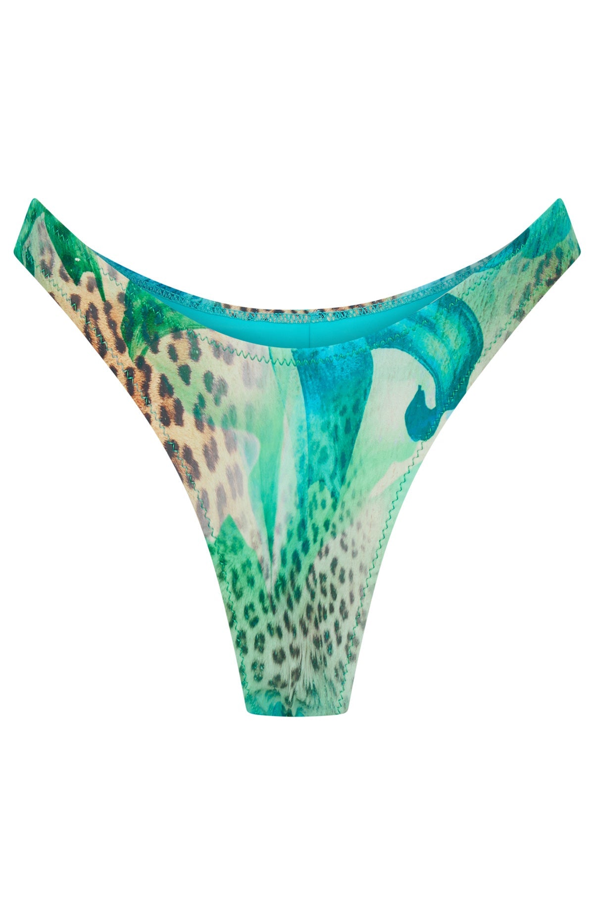 Belmont Bottoms Feline Paradise